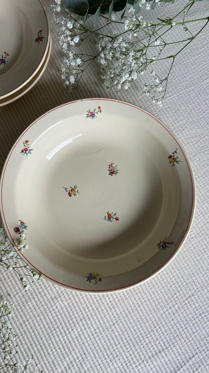 Assiettes & plats Périgord