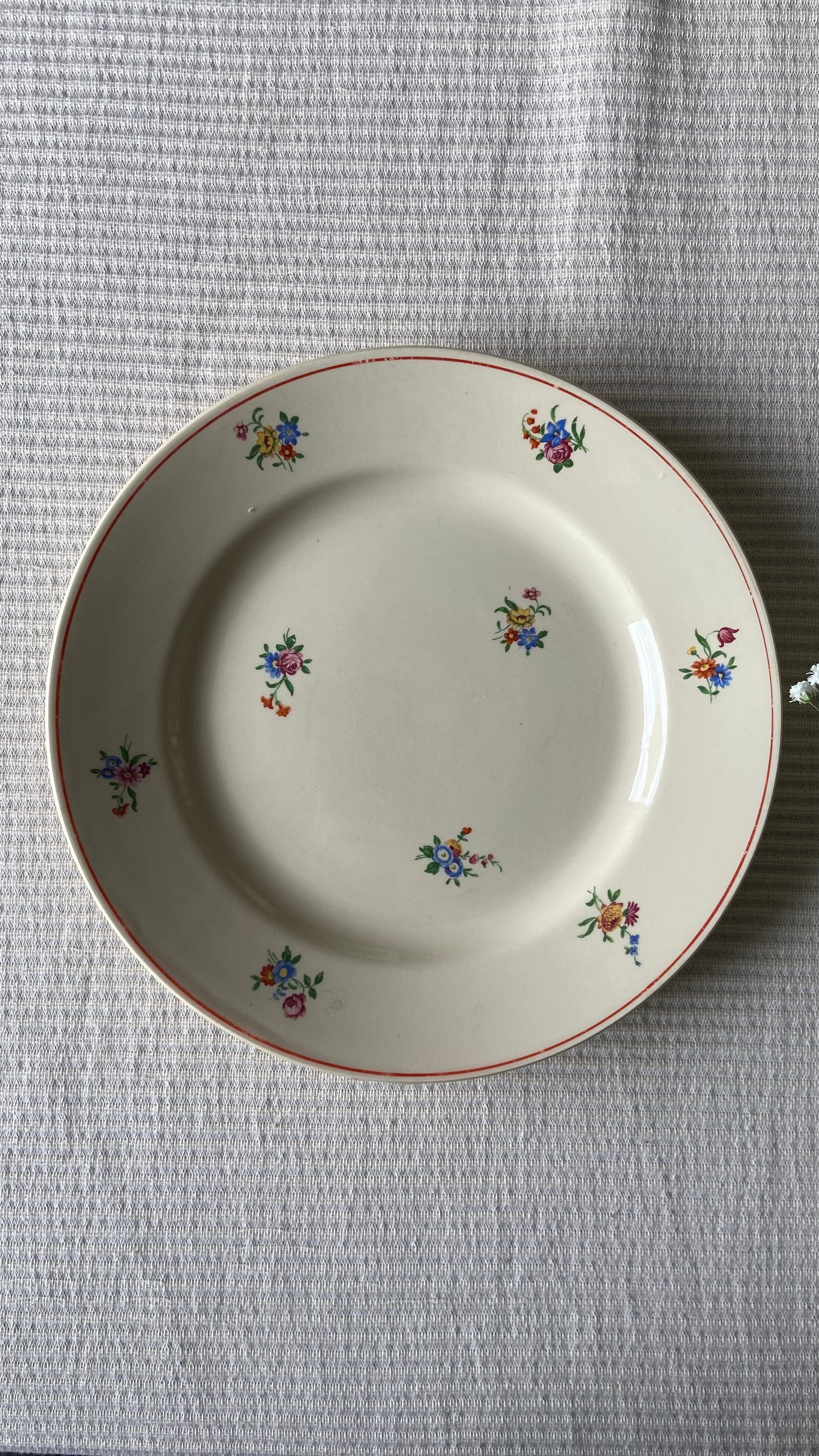 Assiettes & plats Périgord