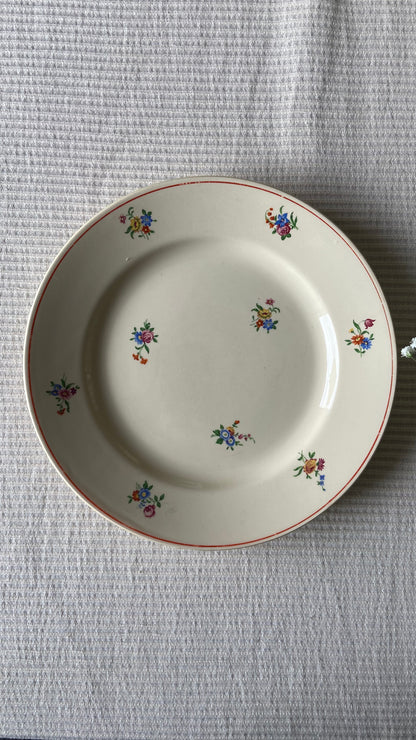 Assiettes & plats Périgord