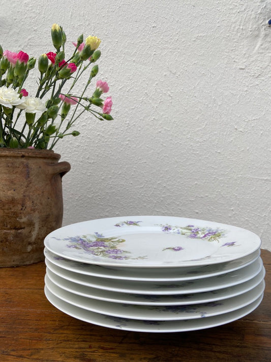Assiettes Limoges - Violettes