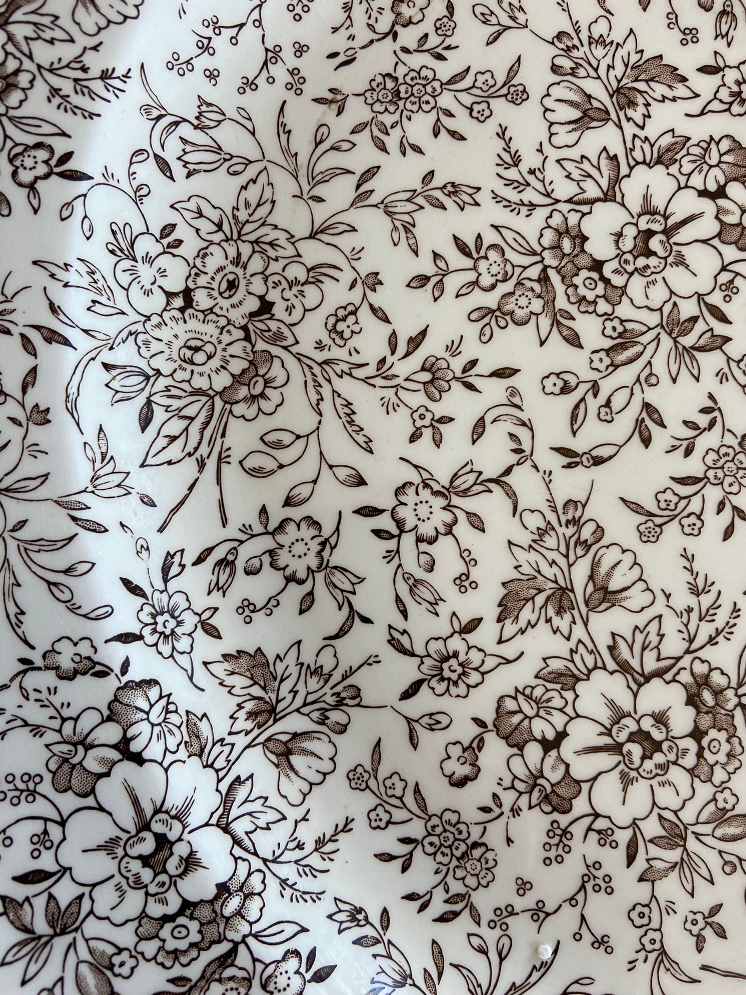 Plat anglais Rosemarie