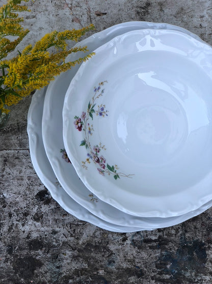 Porcelaine de Bavière