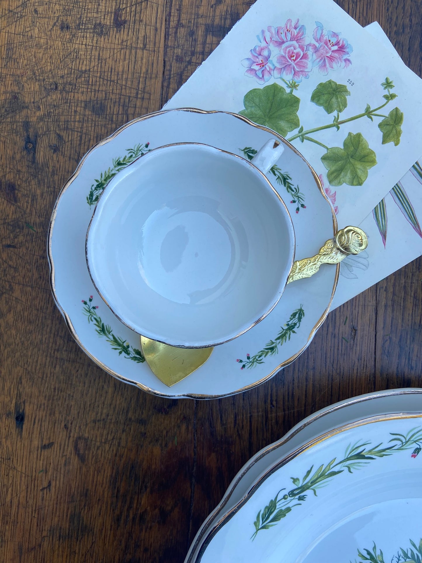 Service Royan, Digoin #id55