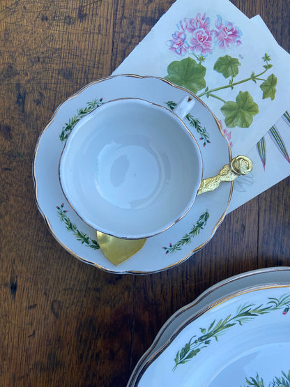 Service Royan, Digoin #id55