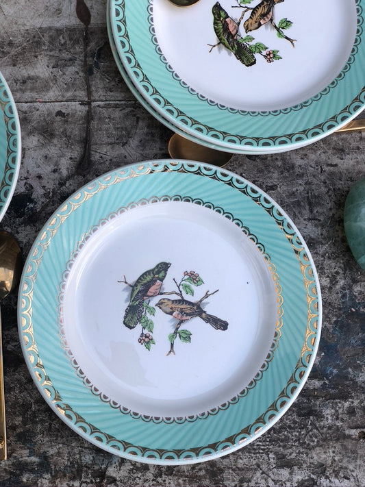 Assiettes Motif Oiseaux