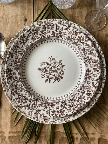 Assiettes Anglaises ALTON