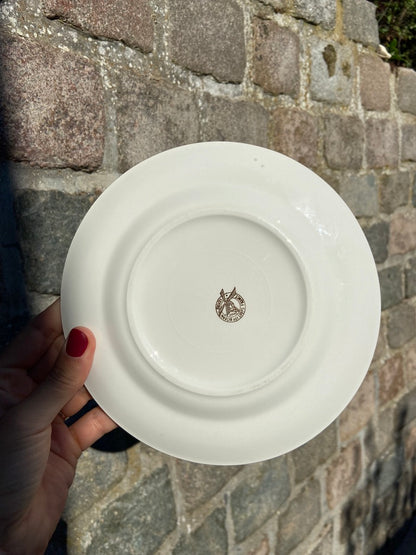 Assiettes dessert Semi-Porcelaine