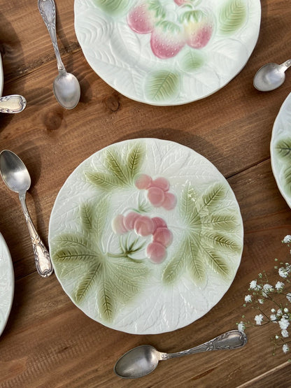 5 Assiettes Majolica Salin