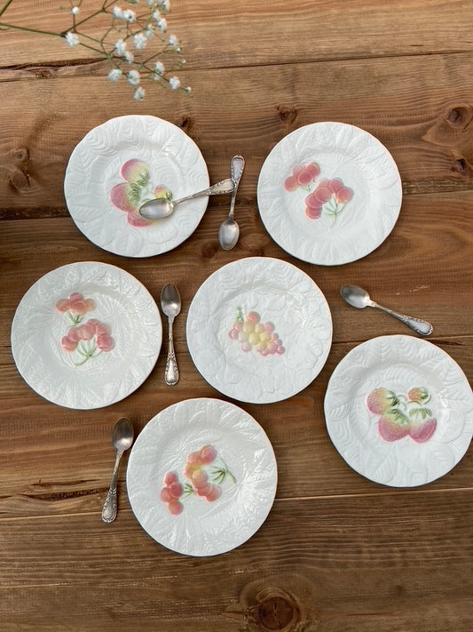 6 Assiettes Majolica Salin