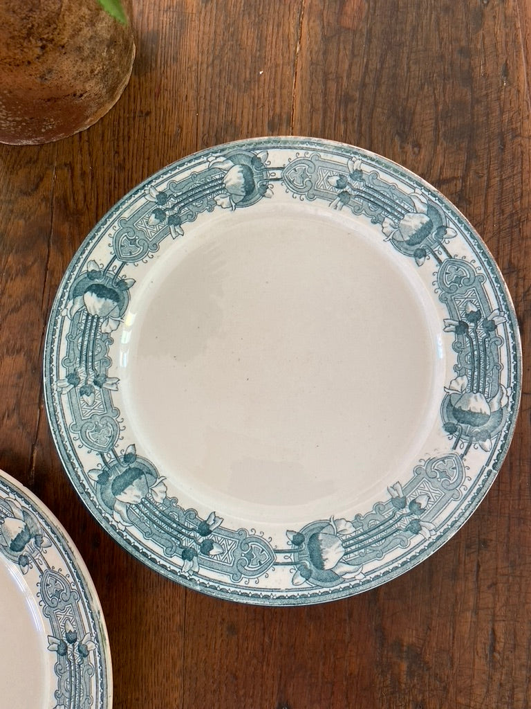 Assiettes plates Masséna - Terre de fer