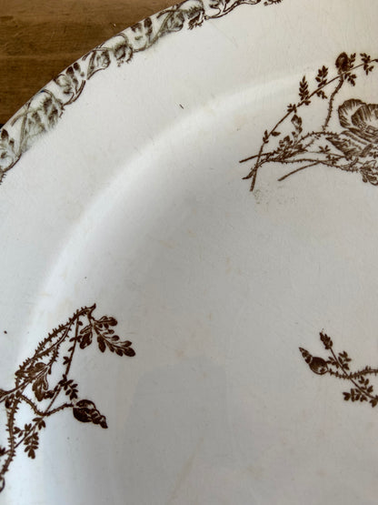 Plate Oiseaux Bruns (terre de fer)