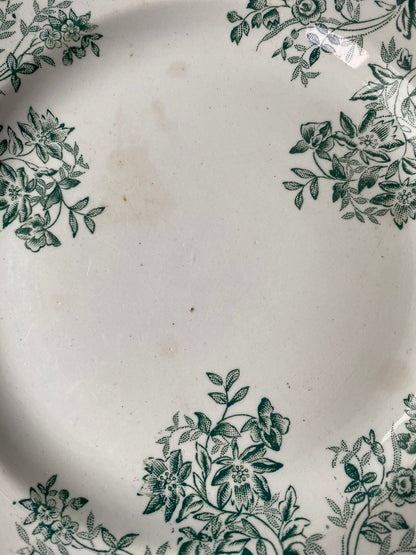 Terre de Fer Dépareillées