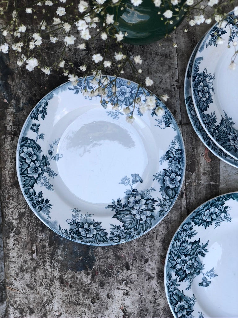 Assiettes Creuses Marie Louise