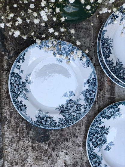 Assiettes Creuses Marie Louise