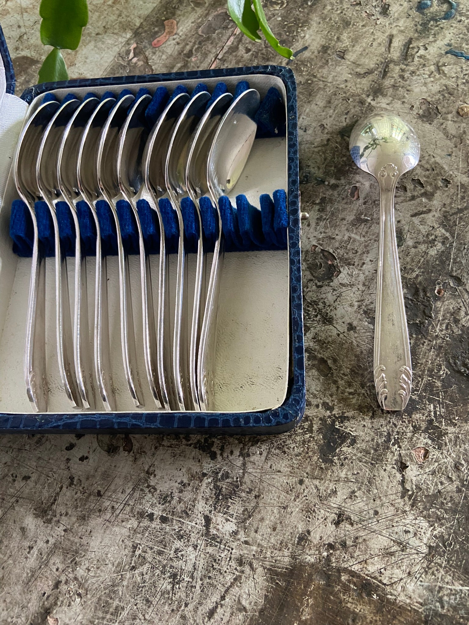 Cuillères à dessert (bleu)