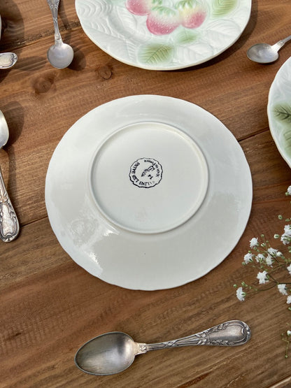 5 Assiettes Majolica Salin