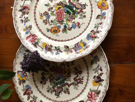 Paire d'assiettes Anglaises