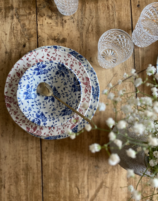 Assiettes Anglaises Royal Tudor