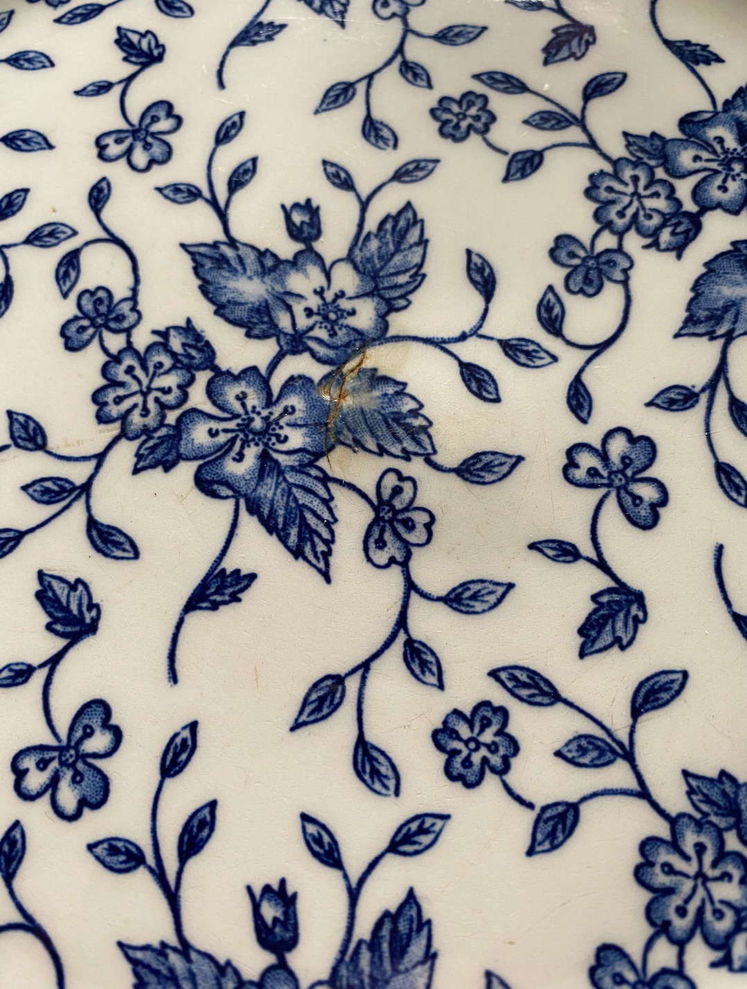 Assiettes Anglaises Royal Tudor