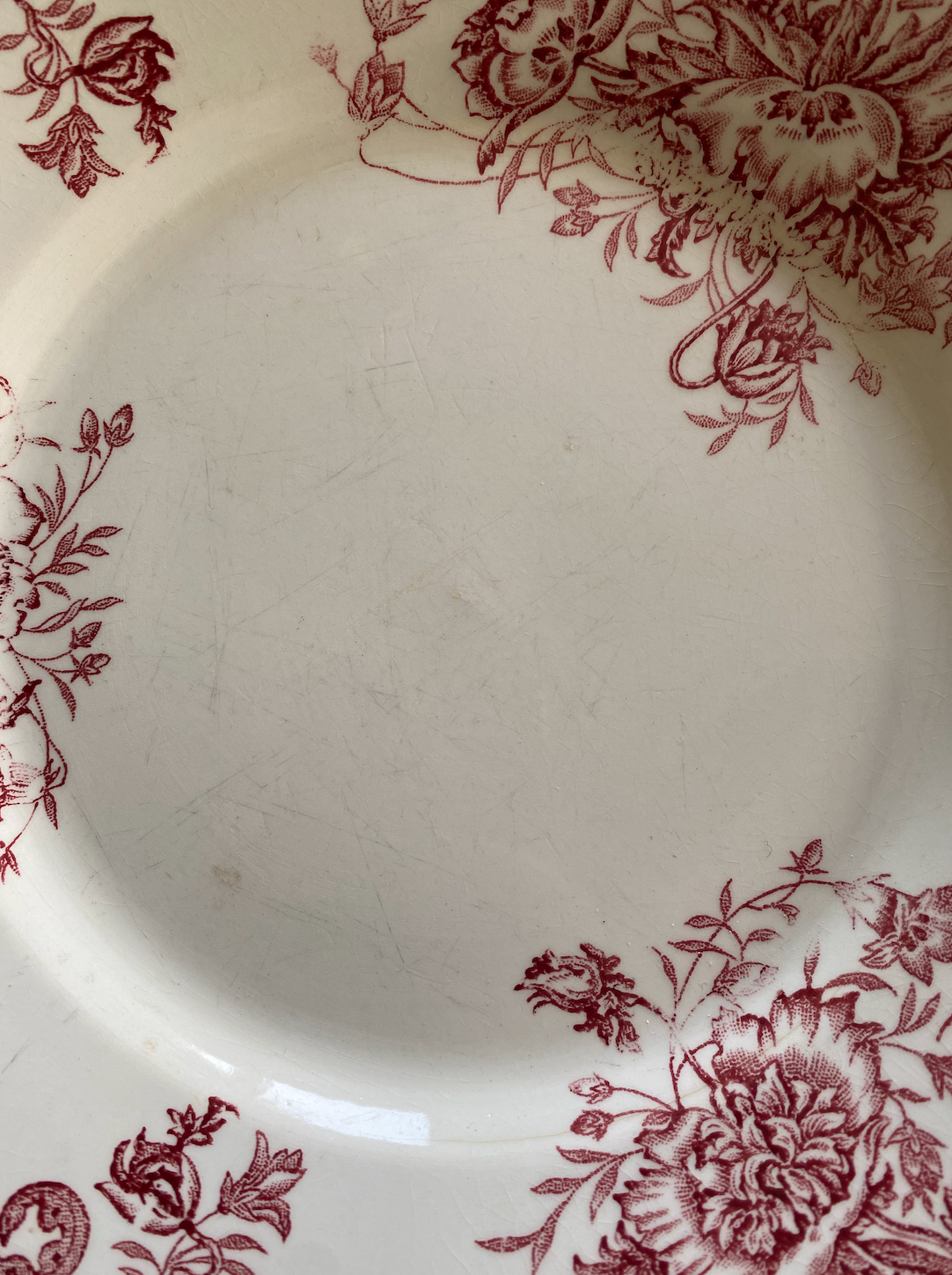 Assiettes Terre de Fer Pavots