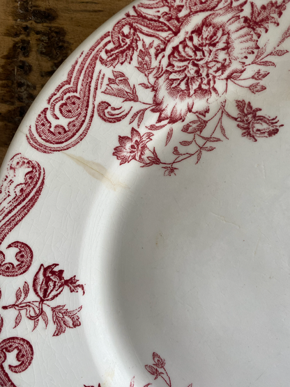 Assiettes Terre de Fer Pavots