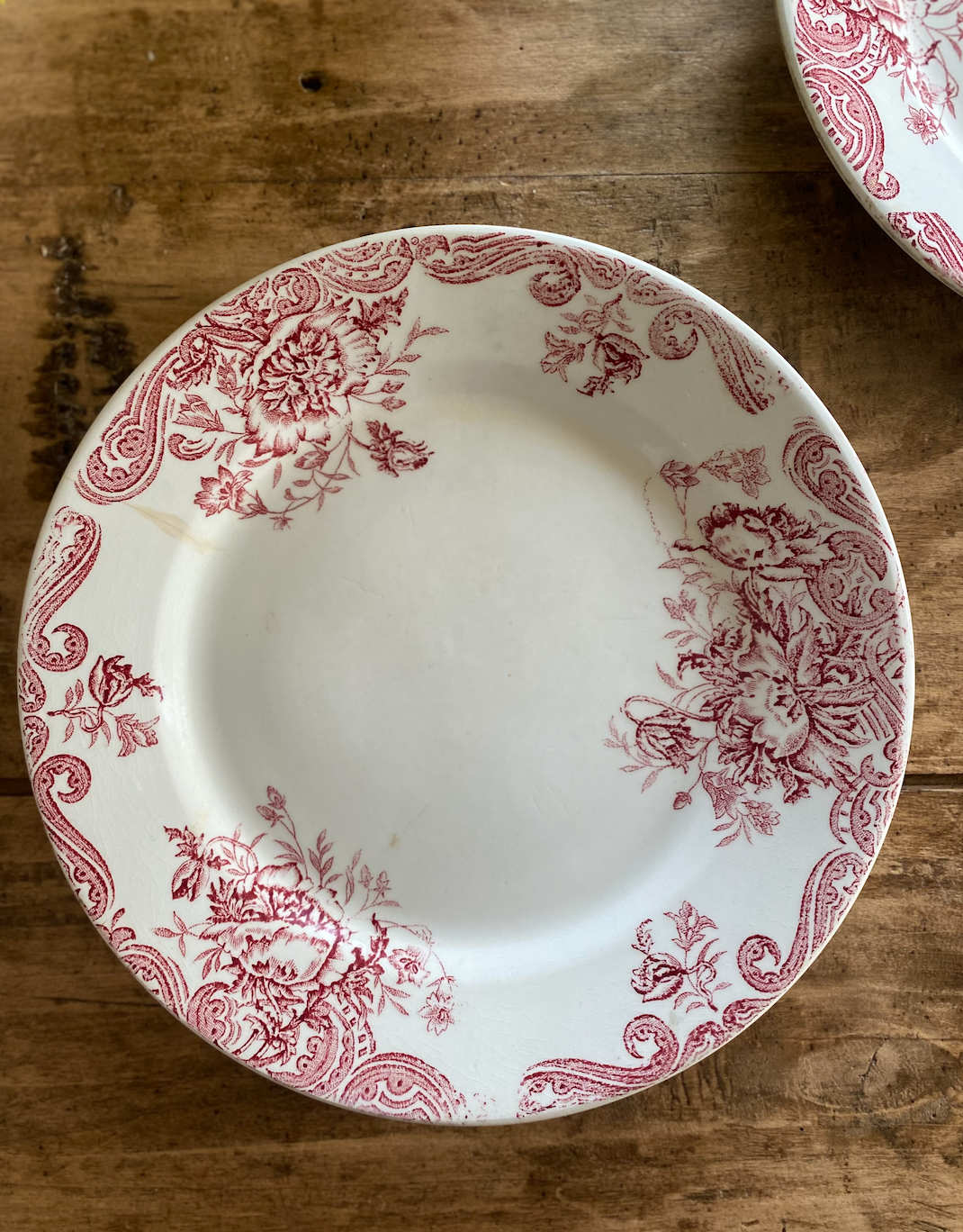 Assiettes Terre de Fer Pavots