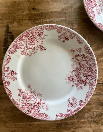 Assiettes Terre de Fer Pavots