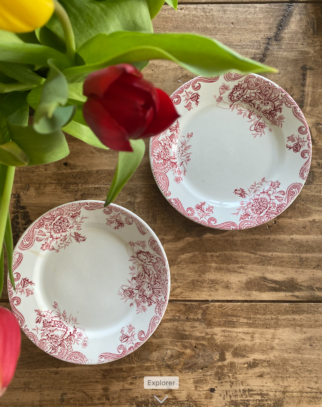 Assiettes Terre de Fer Pavots