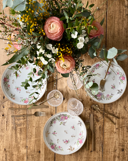 Assiettes Plates Limoges #id9