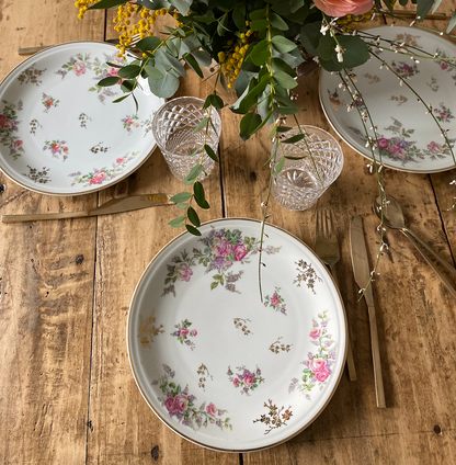 Assiettes Plates Limoges #id9