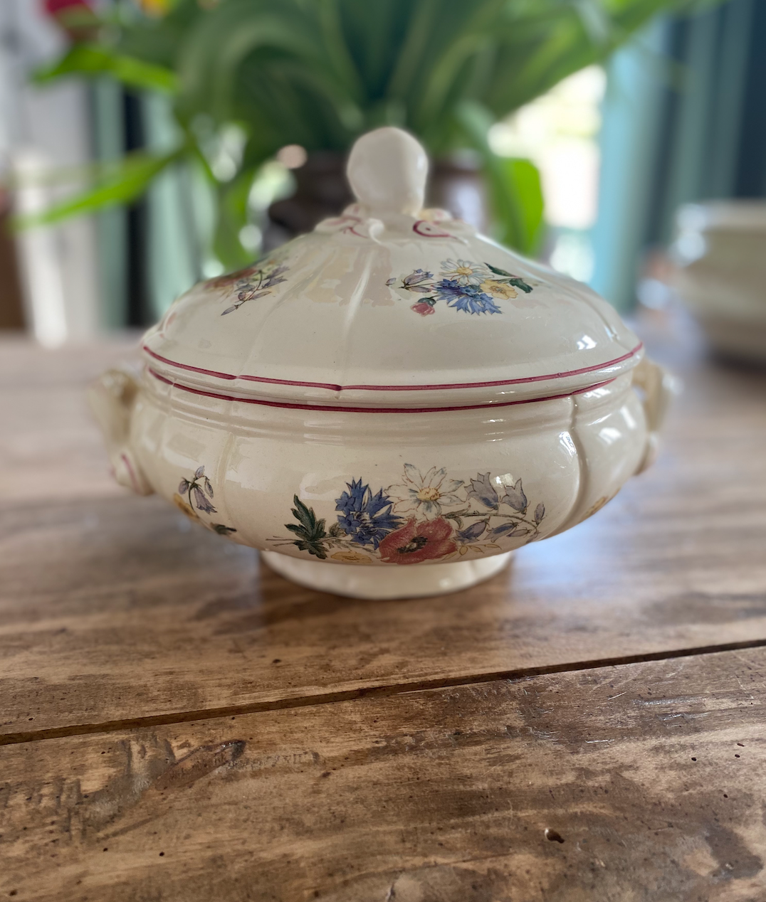 Plats de service Agreste