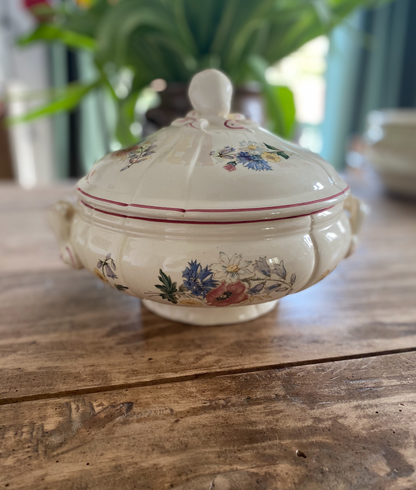 Plats de service Agreste