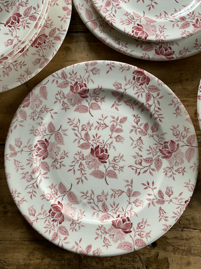 Assiettes plates Anglaises Fleurs