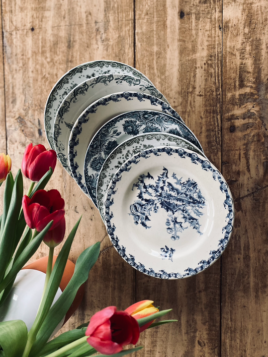 Suite de 6 assiettes Terre de Fer