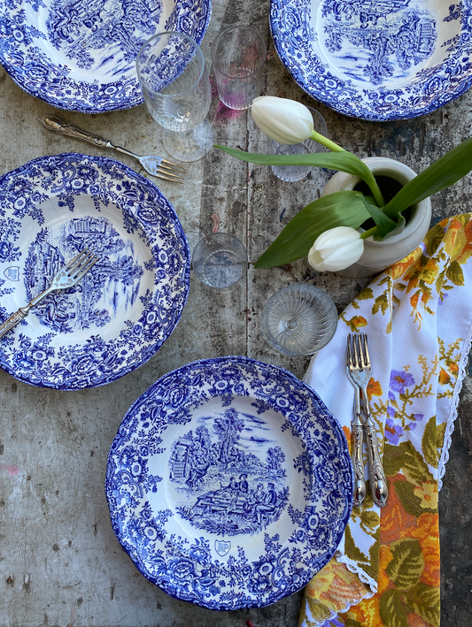 Assiettes creuses Picnic
