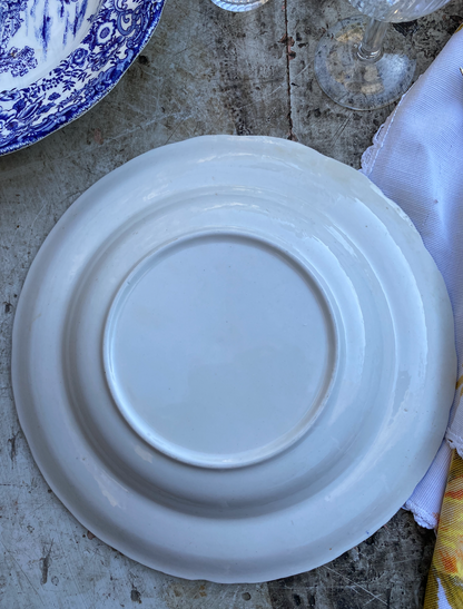 Assiettes creuses Picnic