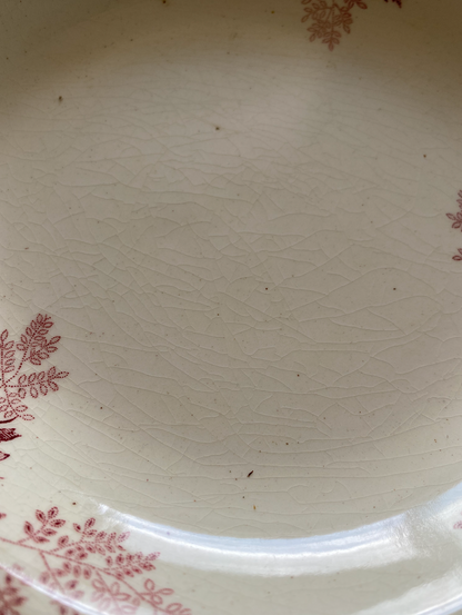 Serie d'assiettes creuses