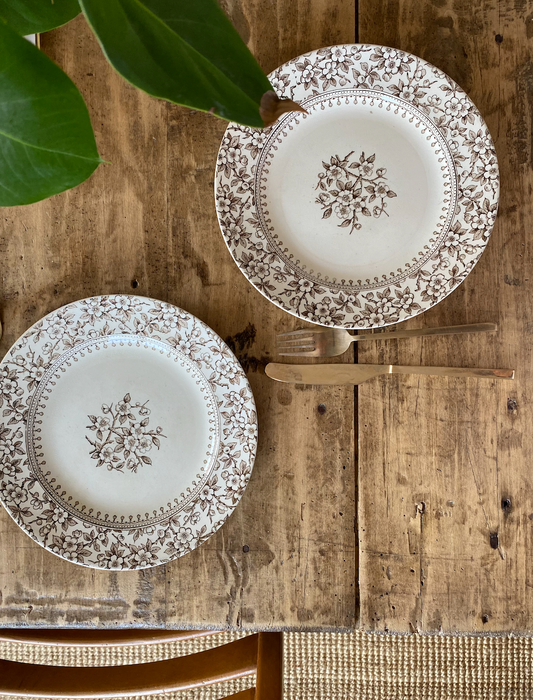 Assiettes Anglaises ALTON