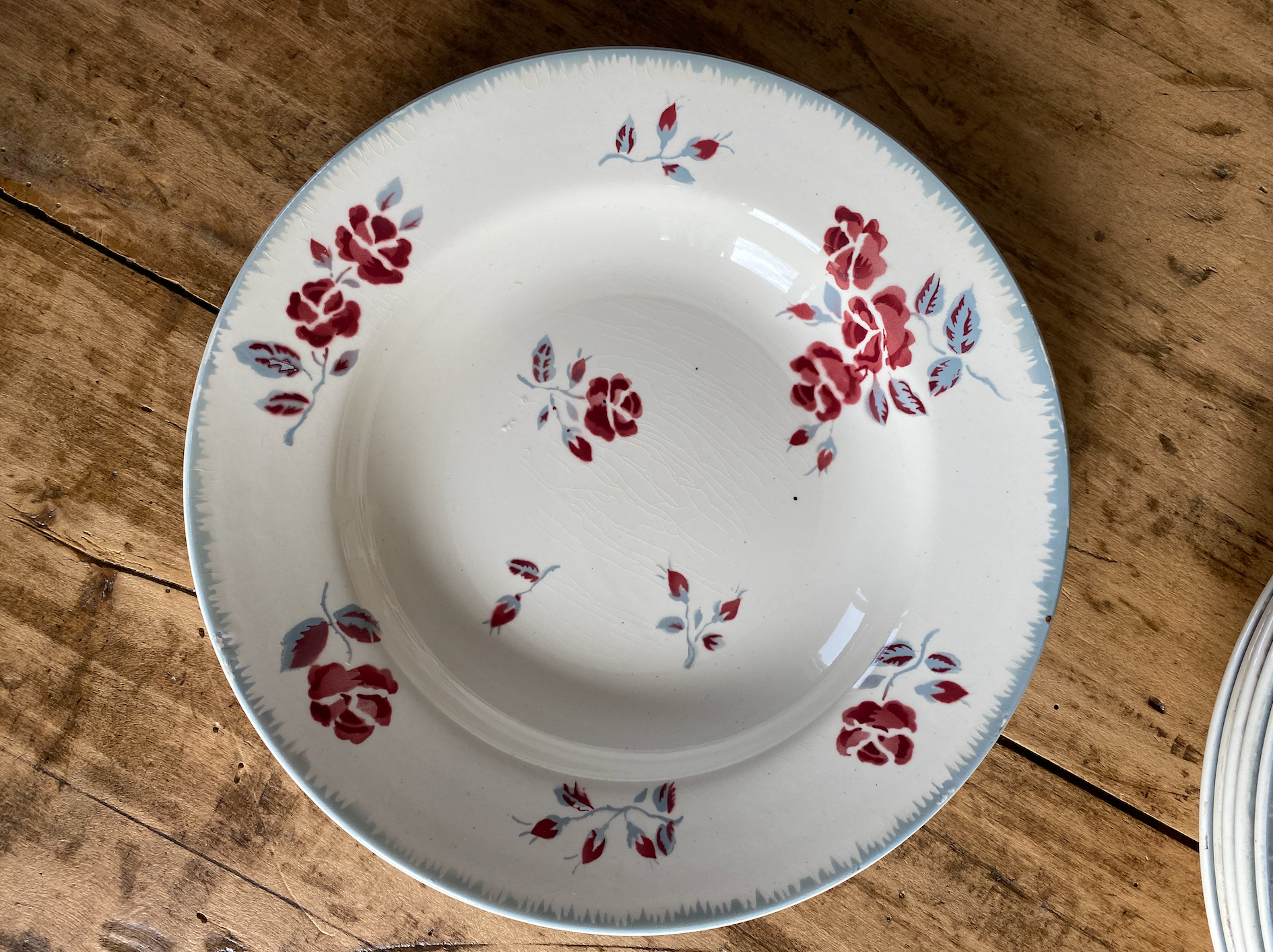 Assiettes Creuses Terre de Fer 4218