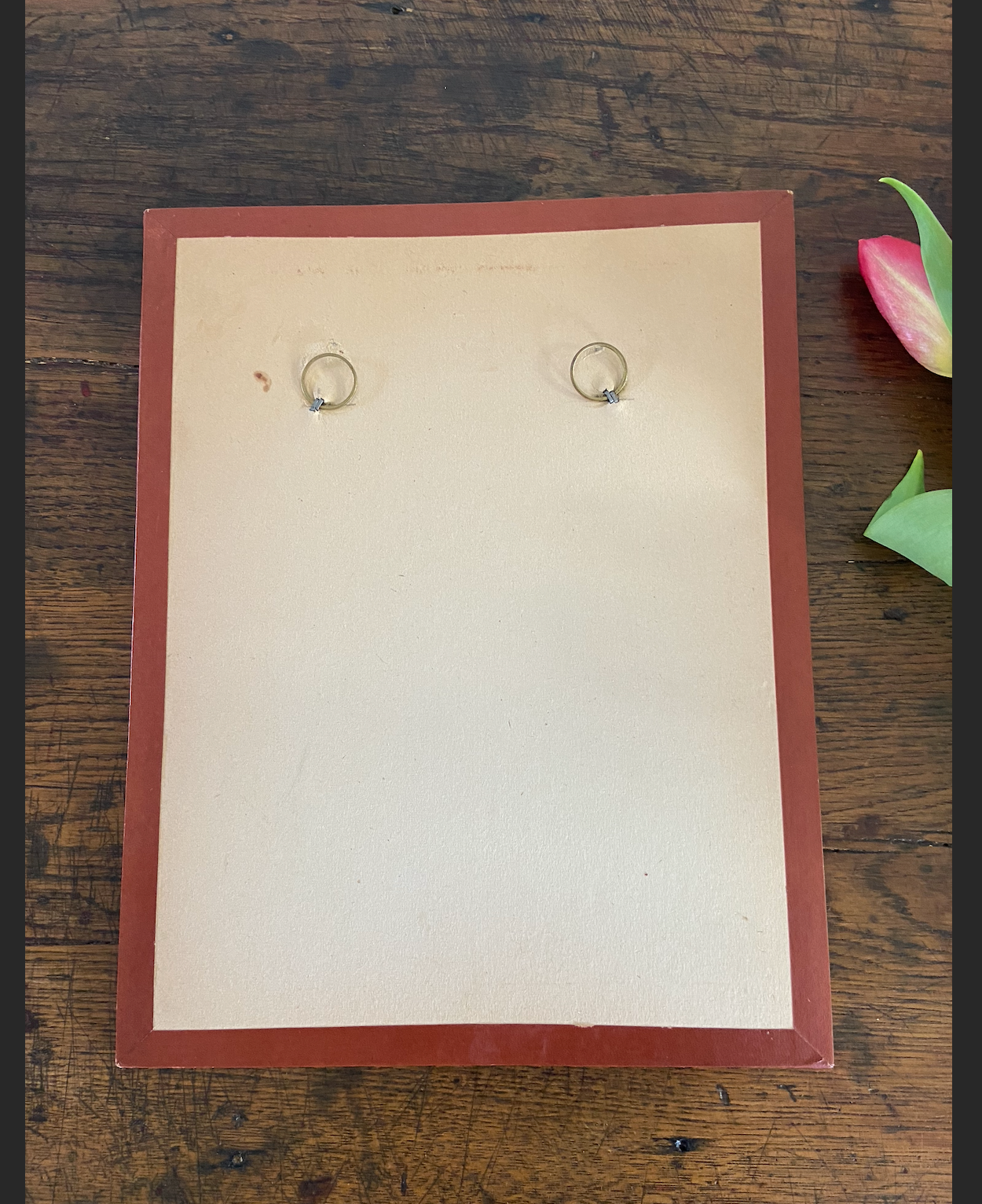 Duo de cadres - oiseaux