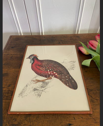 Duo de cadres - oiseaux