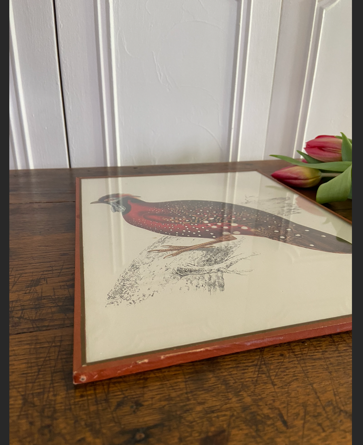 Duo de cadres - oiseaux