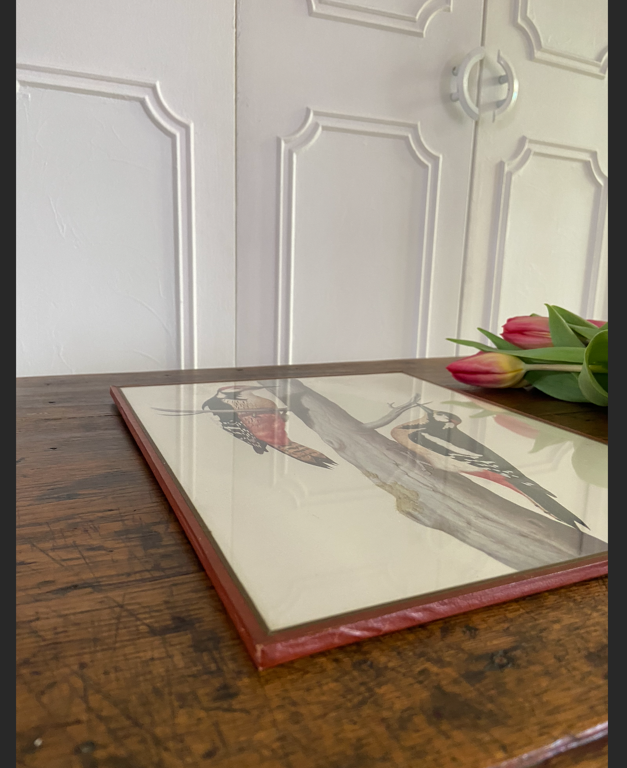 Duo de cadres - oiseaux