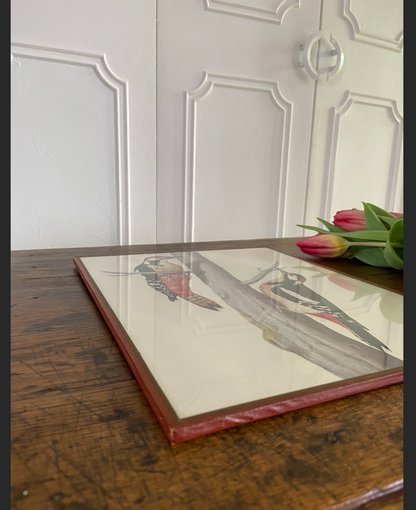 Duo de cadres - oiseaux