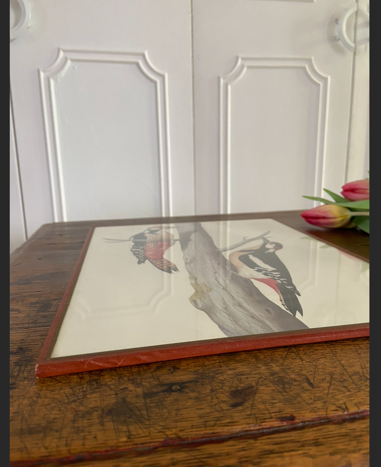 Duo de cadres - oiseaux