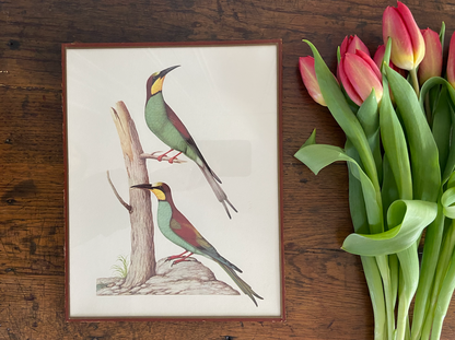 Duo de cadres - oiseaux (2)