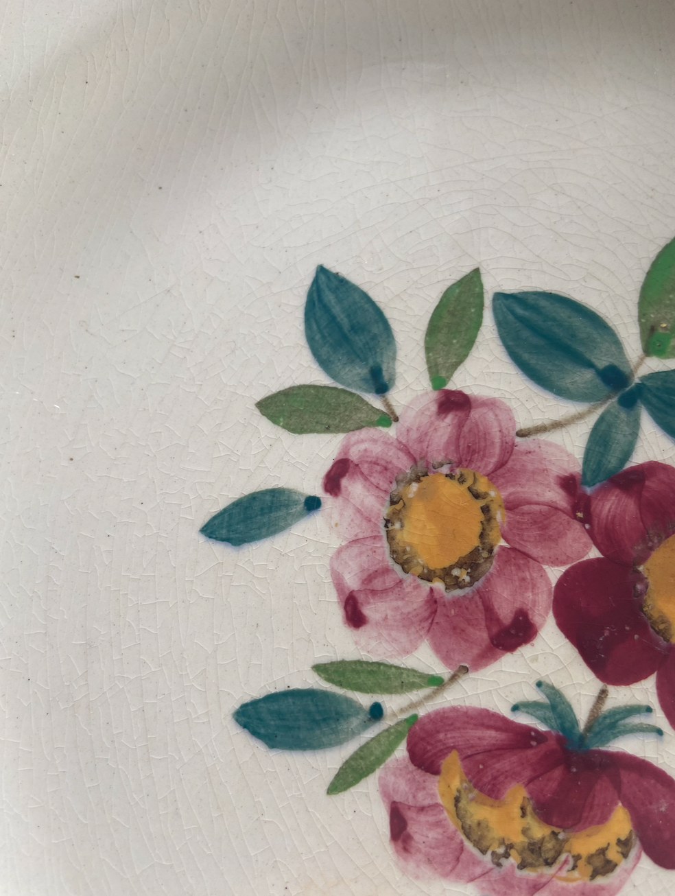 Assiette plates Amazonas #id5