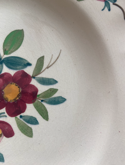 Assiette plates Amazonas #id5