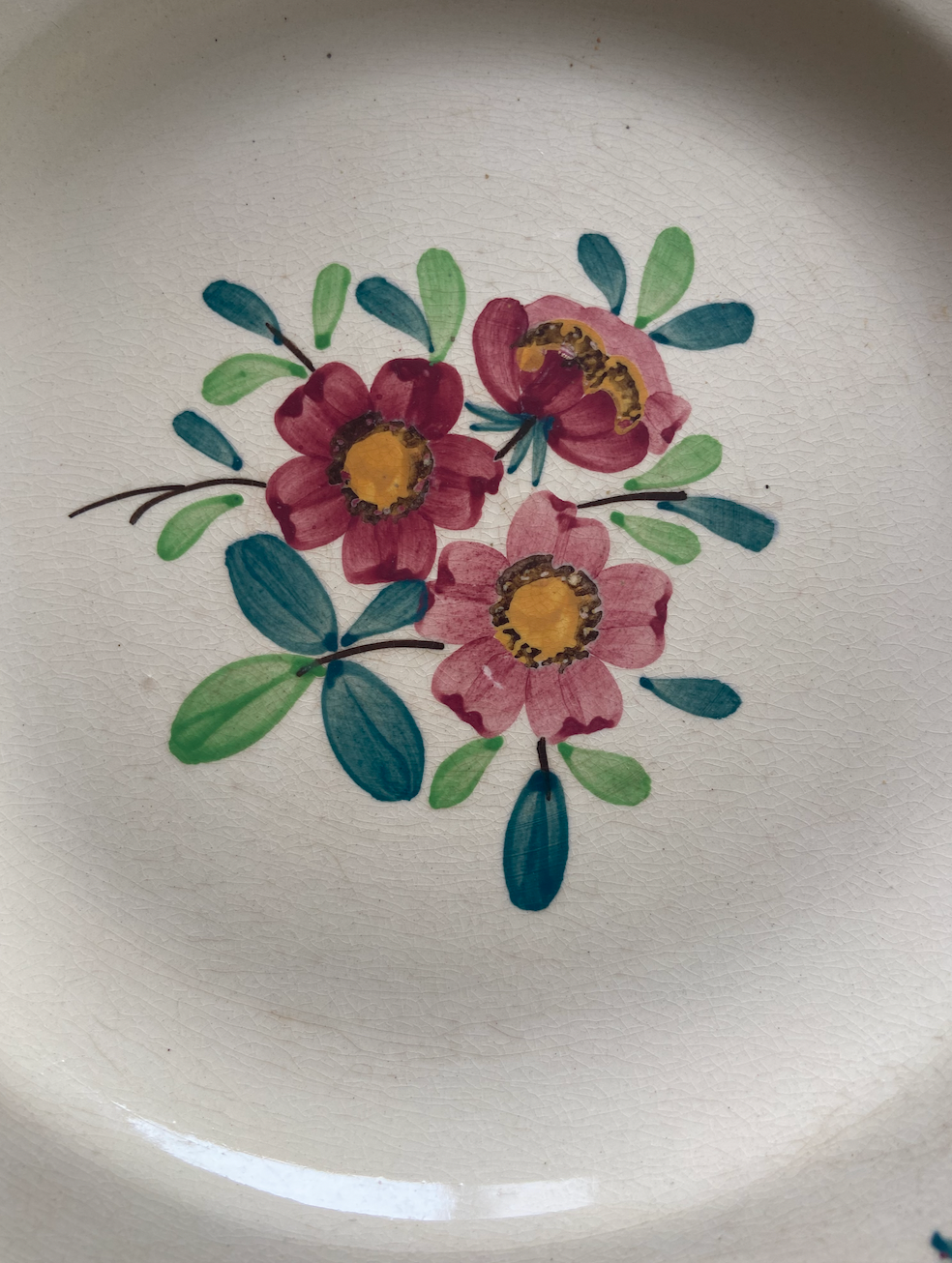 Assiette plates Amazonas #id5