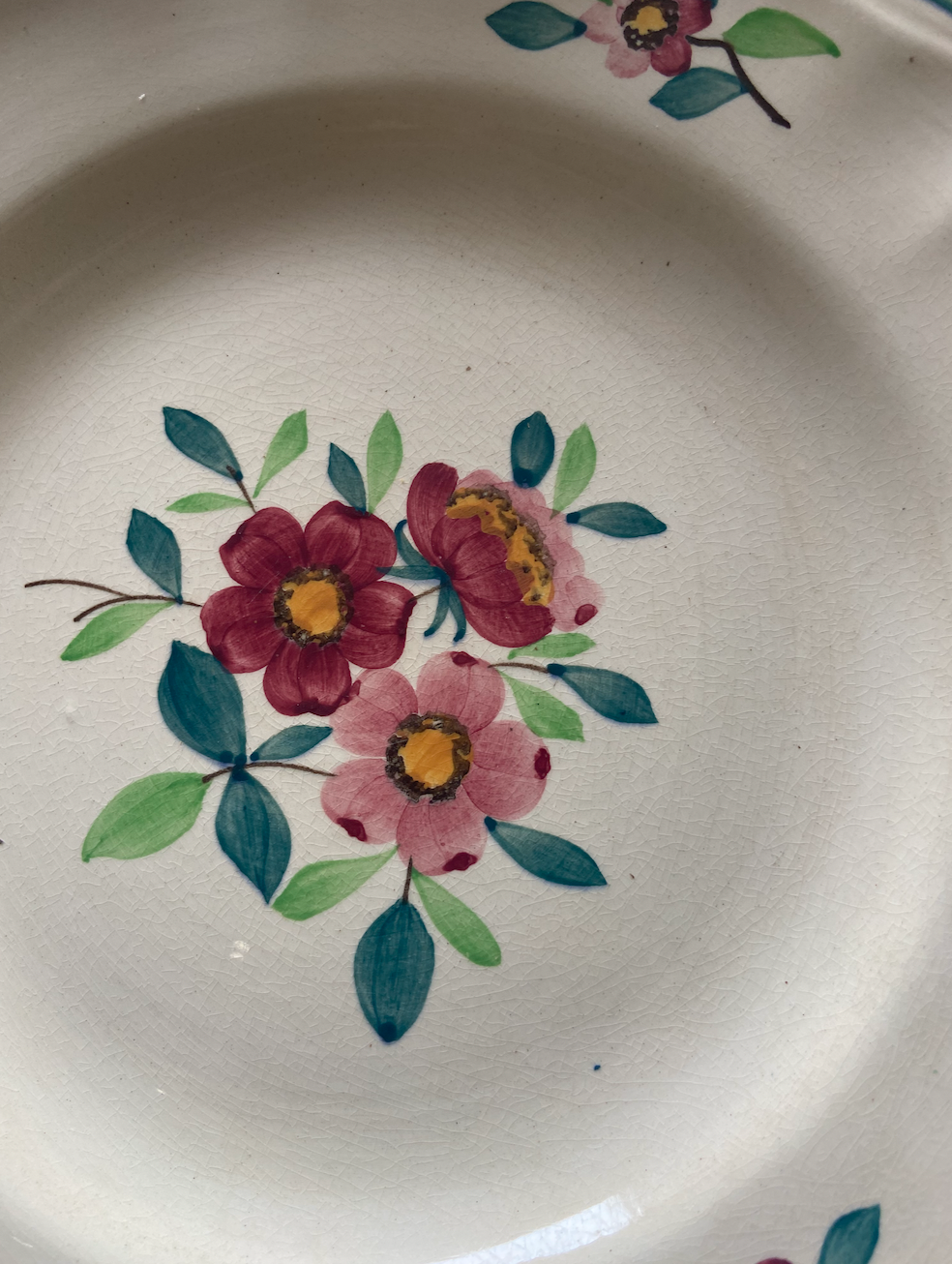 Assiette plates Amazonas #id5